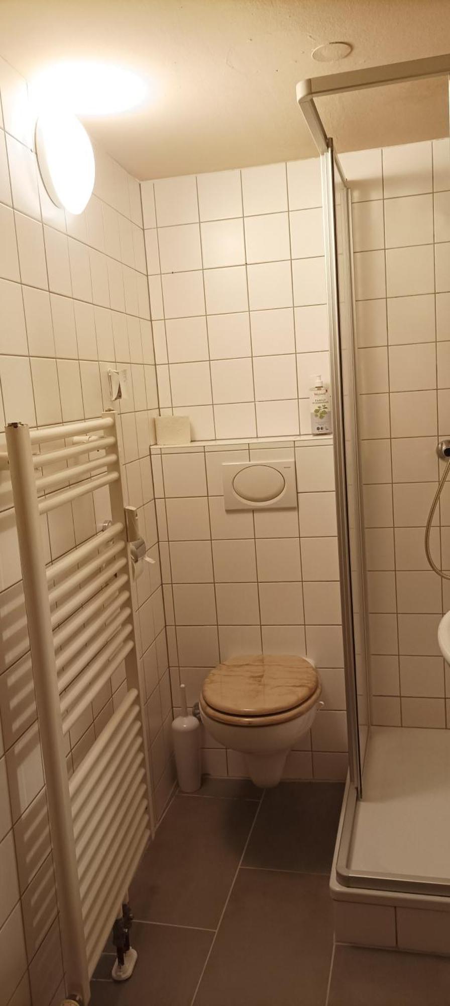 Altmuehle